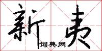 新夷怎么写好看