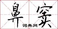 鼻窦怎么写好看