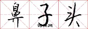鼻子头怎么写好看