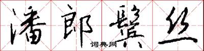 潘郎鬓丝怎么写好看