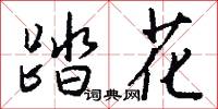 踏花怎么写好看