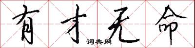 有才无命怎么写好看