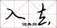 入去怎么写好看