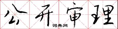 公开审理怎么写好看