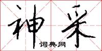 神采怎么写好看