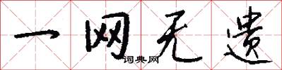 一网无遗怎么写好看