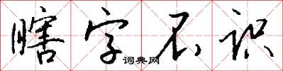 瞎字不识怎么写好看