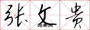 张文贵怎么写好看