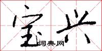 宝兴怎么写好看