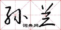 孙兰怎么写好看