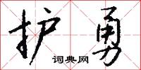 护勇怎么写好看