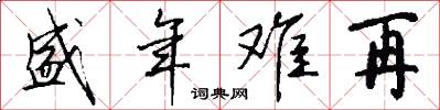 盛年难再怎么写好看