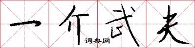 一介武夫怎么写好看