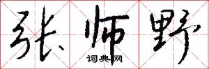 张师野怎么写好看