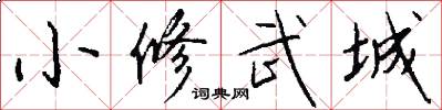 小修武城怎么写好看