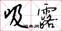 吸露怎么写好看