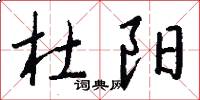 杜阳怎么写好看