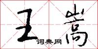 王嵩怎么写好看