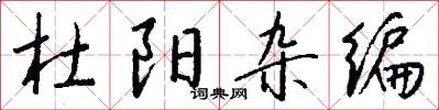 杜阳杂编怎么写好看