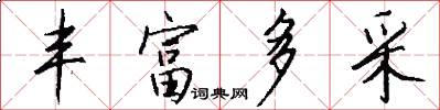 丰富多采怎么写好看