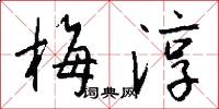 梅淳怎么写好看