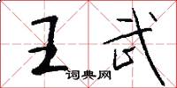 王武怎么写好看