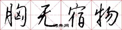 胸无宿物怎么写好看