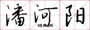 潘河阳怎么写好看