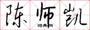 陈师凯怎么写好看