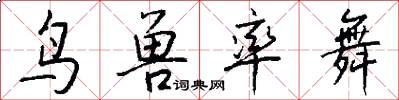 鸟兽率舞怎么写好看