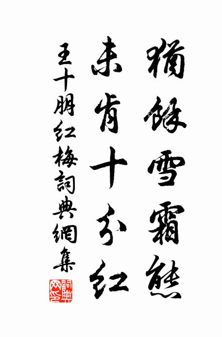 王十朋犹余雪霜态，未肯十分红。书法作品欣赏