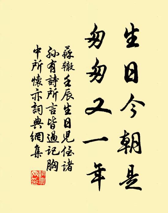 苏辙生日今朝是，匆匆又一年书法作品欣赏