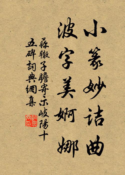 苏辙小篆妙诘曲，波字美婀娜书法作品欣赏