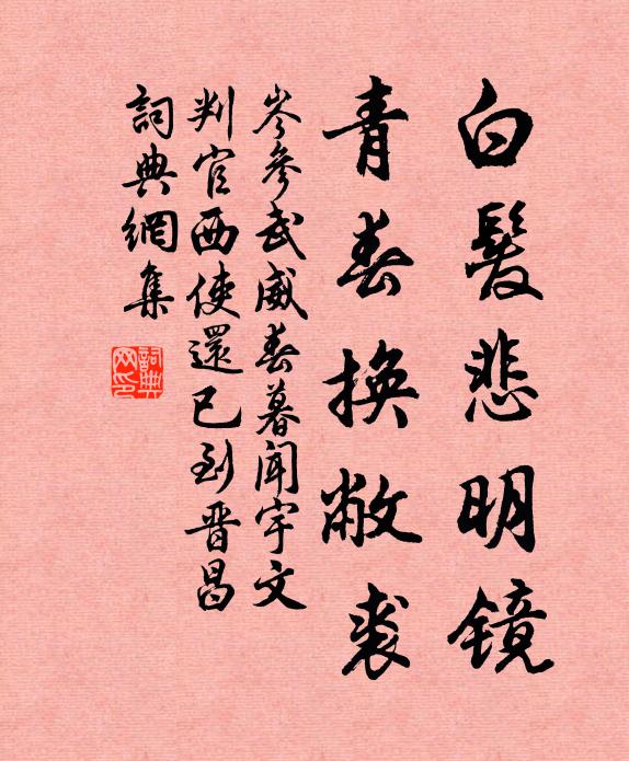 岑参白发悲明镜，青春换敝裘。书法作品欣赏