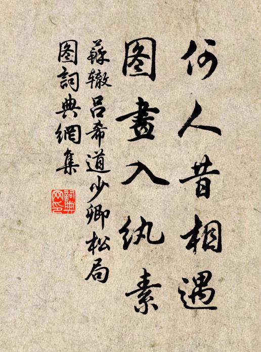 苏辙何人昔相遇，图画入纨素书法作品欣赏