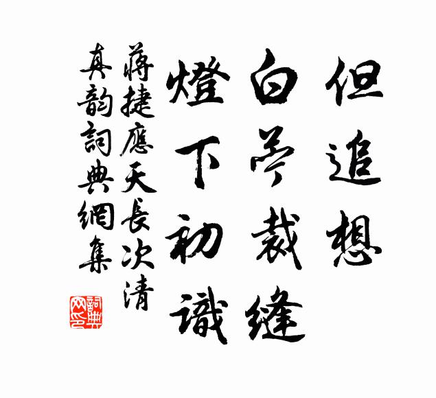 蒋捷但追想，白苎裁缝，灯下初识书法作品欣赏