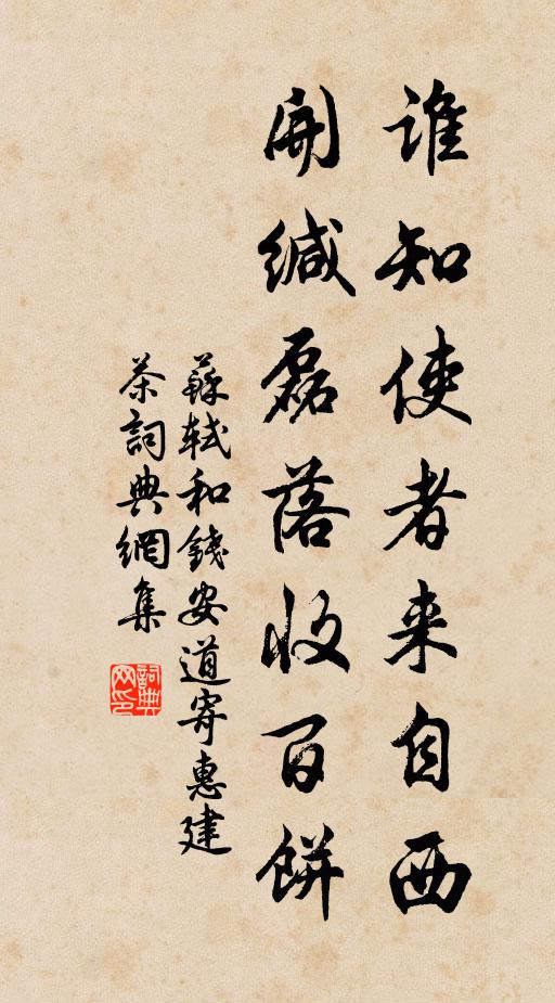 苏轼谁知使者来自西，开缄磊落收百饼书法作品欣赏