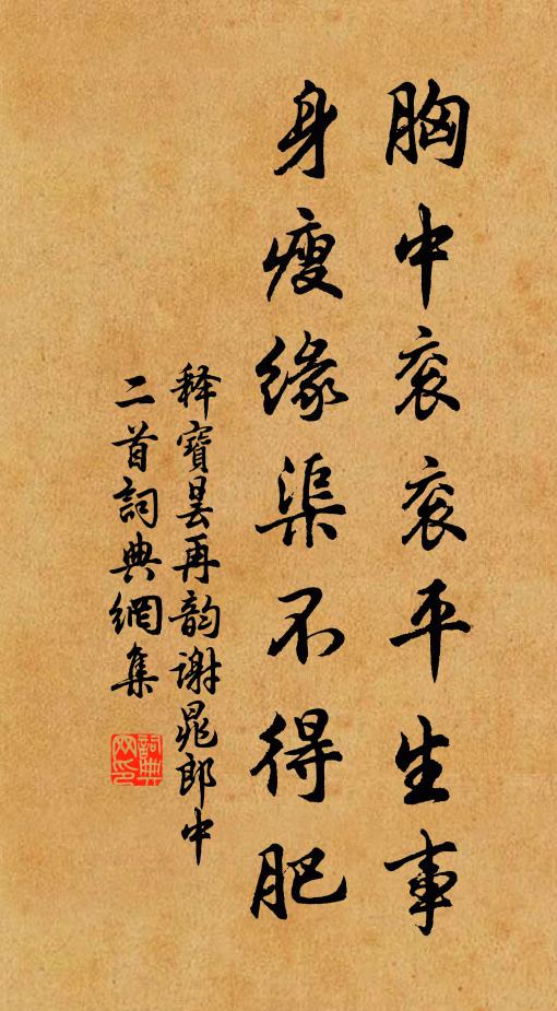 释宝昙胸中衮衮平生事，身瘦缘渠不得肥书法作品欣赏