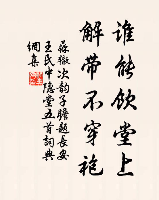苏辙谁能饮堂上,解带不穿袍书法作品欣赏