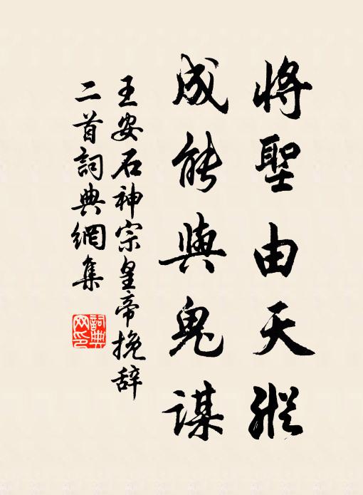 王安石将圣由天纵，成能与鬼谋书法作品欣赏