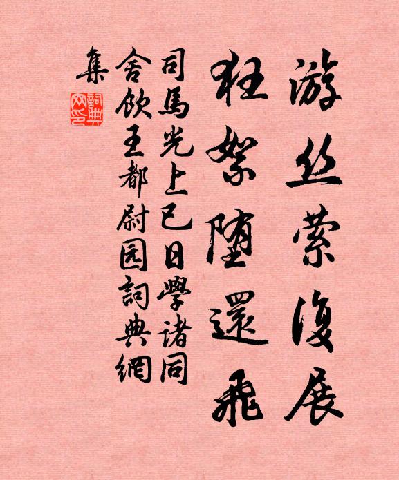 司马光游丝萦复展，狂絮堕还飞书法作品欣赏