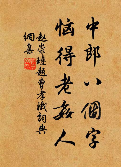 赵崇琏中郎八个字，恼得老奸人书法作品欣赏