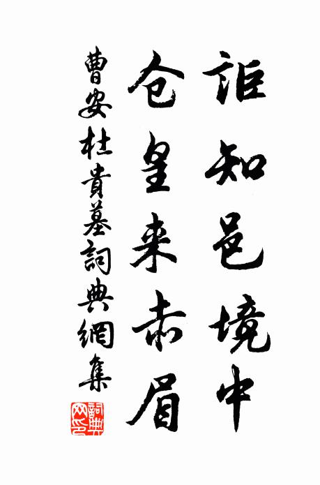 曹安讵知邑境中，仓皇来赤眉书法作品欣赏