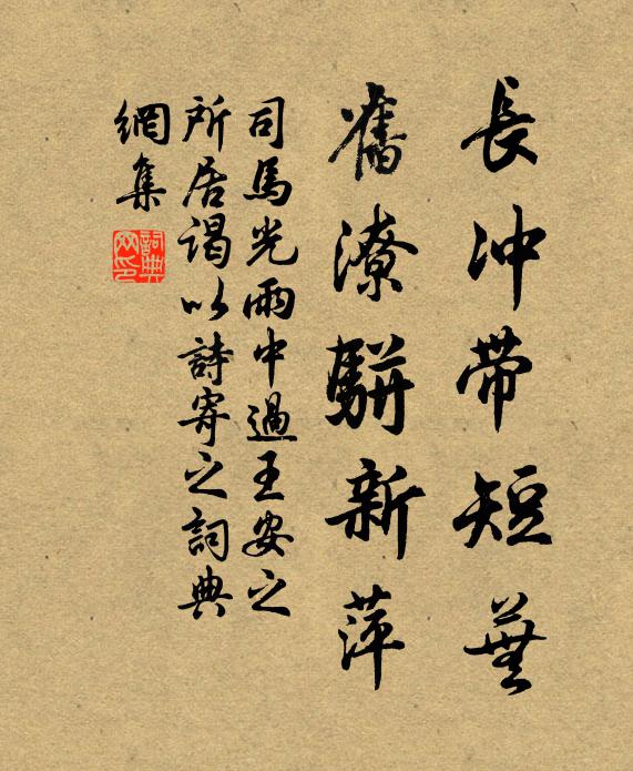 司马光长冲带短芜，旧潦骈新萍书法作品欣赏