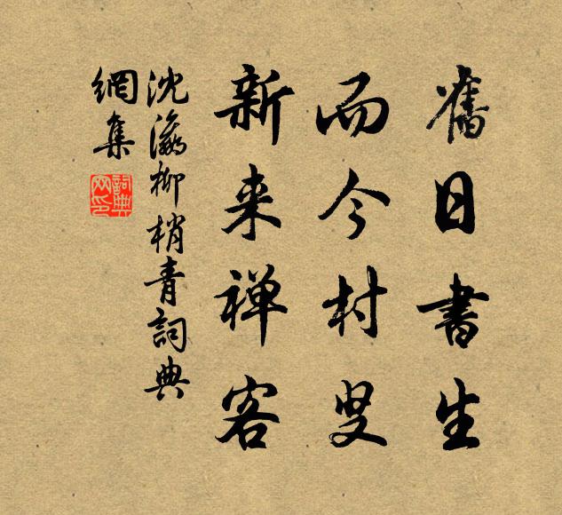 沈瀛旧日书生，而今村叟，新来禅客书法作品欣赏