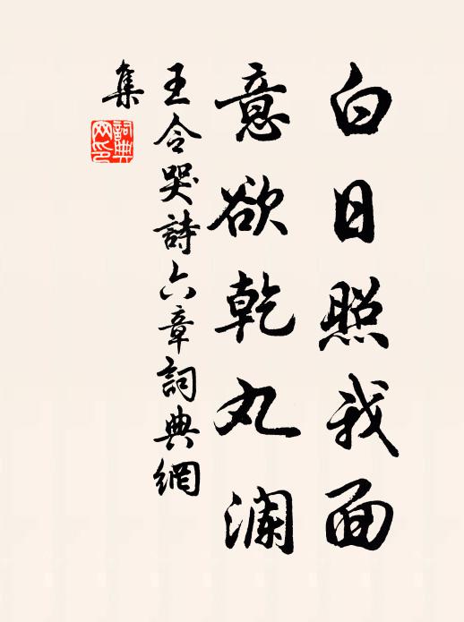 王令白日照我面，意欲乾丸澜书法作品欣赏