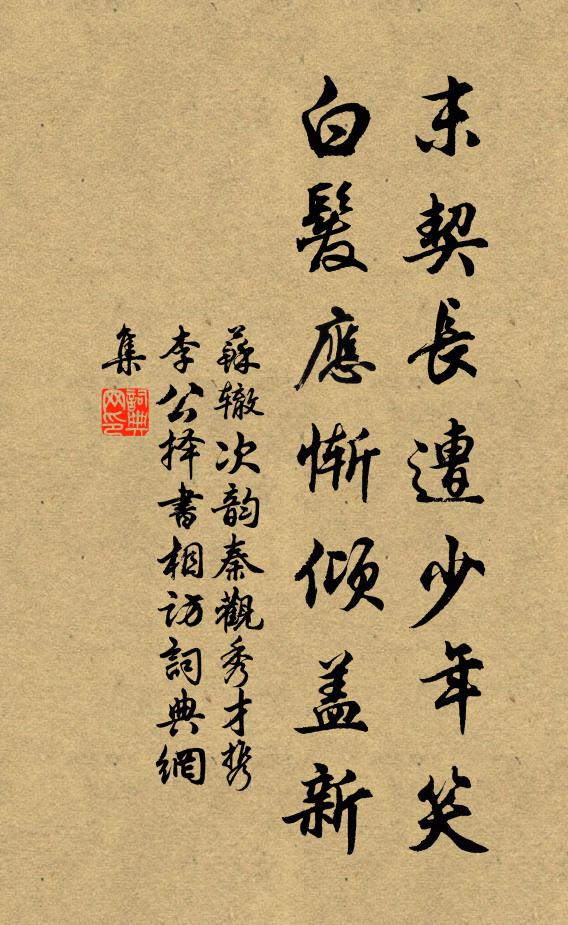 苏辙末契长遭少年笑，白发应惭倾盖新书法作品欣赏