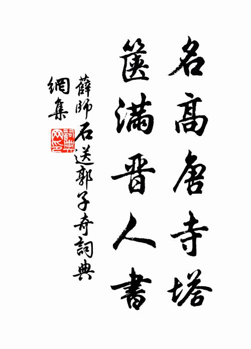 薛师石名高唐寺塔，箧满晋人书书法作品欣赏