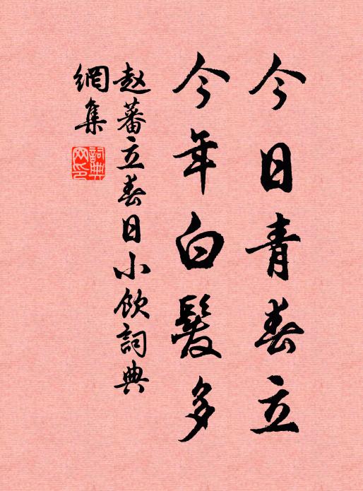 赵蕃今日青春立，今年白发多书法作品欣赏