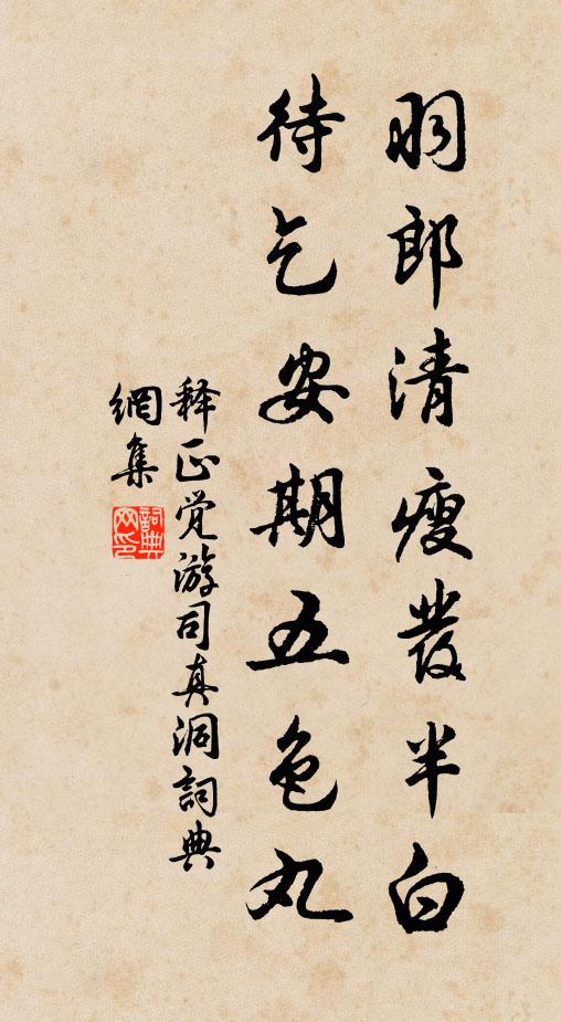 释正觉羽郎清瘦发半白，待乞安期五色丸书法作品欣赏